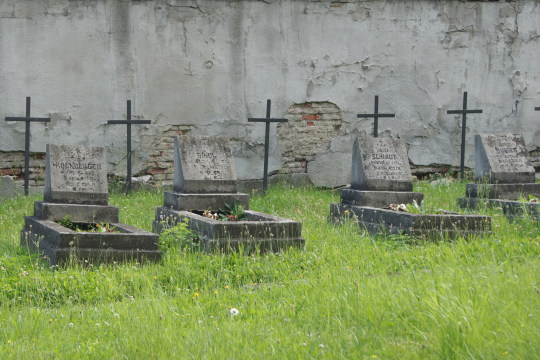 Gräber von Angehörigen der k.u.k Armee aus dem Herbst 1914. Krakau, Alte Militarsektion des Rakowitzer Fiedhofs. Foto: jvf