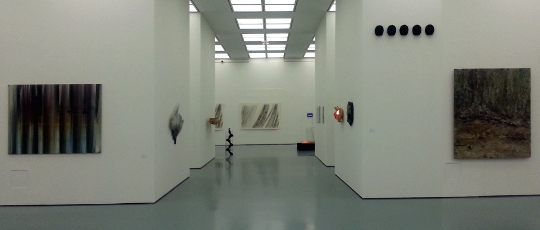 Die Große Kunstausstellung NRW 2016 im Museum Kunstpalast Düsseldorf, Ausstellungsansicht