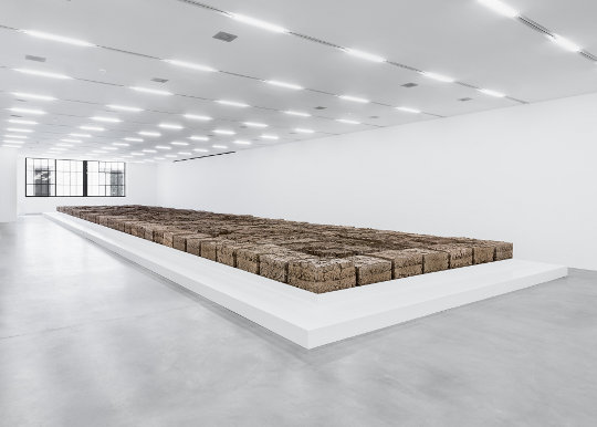 Mike Bouchet, The Zurich Load: Installationsansicht Manifesta 11. Foto (c) Camilo Brau