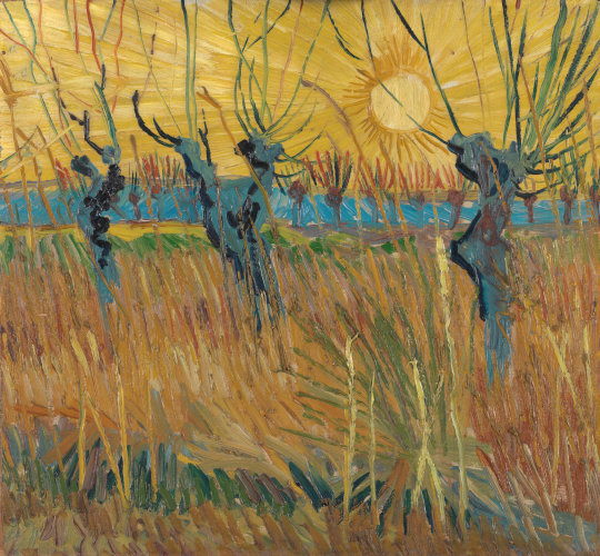 1912 in der Sonderbundausstellung, heute im Köller-Müller Museum: Vincent van Gogh, Weiden bei Sonnenuntergang, 1888. Öl auf Leinwand auf Karton, 31,6 cm x 34,3 cm. Rechte: © Kröller-Müller Museum, Otterlo, Niederlande