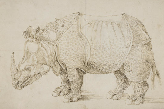 Albrecht Dürer, Rhinoceron, 1515. Feder und Tinte auf Papier. British Museum, London. Lizenz: © The Trustees of the British Museum, CC BY-NC-SA 4.0, Quelle: British Museum, Ausschnitt: jvf
