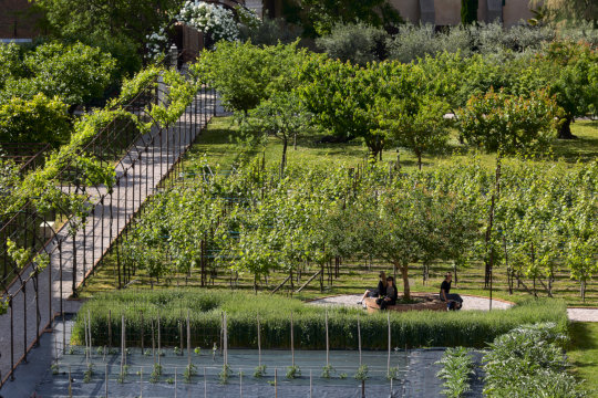 Pavillon des Vatikan, The Ear is the Eye of the Soul. Giardino Mistico, Venedig. 61. Inter&shy;nationale Kunst&shy;ausstellung – La Biennale di Venezia, In Minor Keys. Foto: David Levene