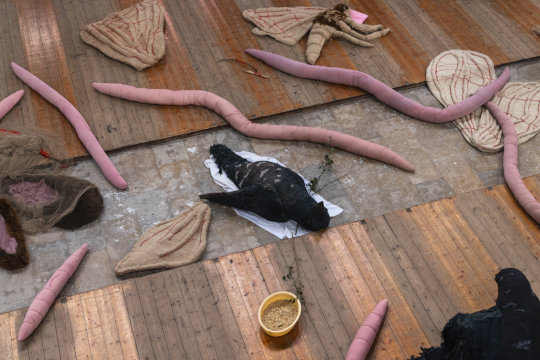 When Animals Fall From the Sky, 2026 © Eva Koťátková (und Kinder aus Bochum und Prag). Foto © Manifesta 16 Ruhr / Ivan Erofeev